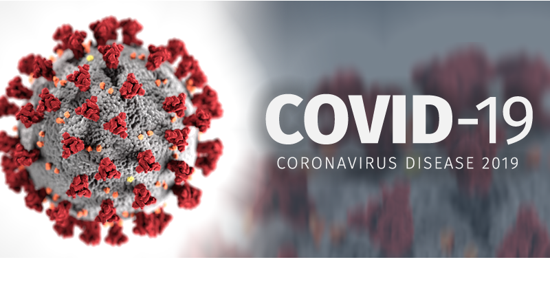 Impact of the Coronavirus